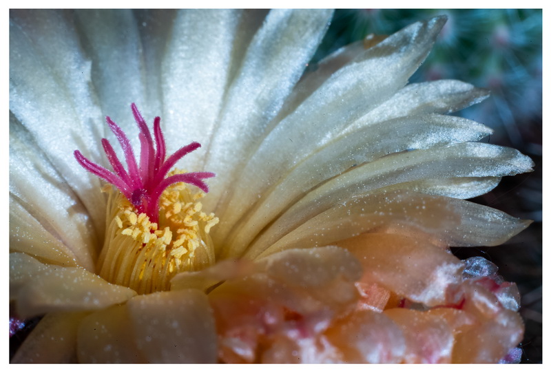 DL-Bild-3