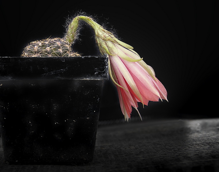 W-Bild-2